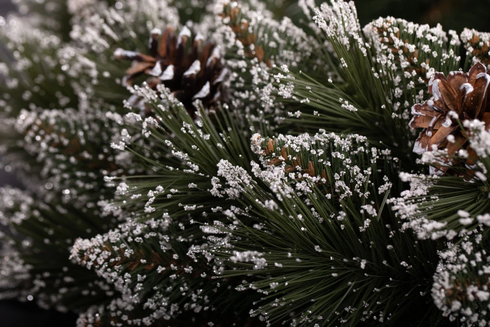 Vianočný veniec borovica zamrznutá 40 cm – Prírodný zasnežený adventný veniec